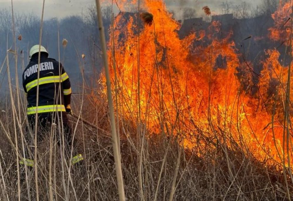 Hunedoara: Creştere ''alarmantă'' a incendiilor de vegetaţie uscată