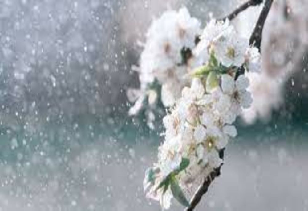 Vreme caldă și ploi izolate în vestul țării