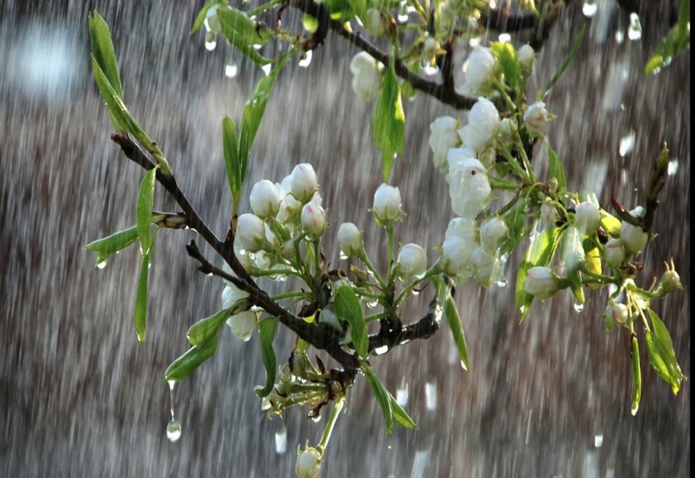 Temperaturi mai scăzute decât normalele perioadei, în următoarele 4 săptămâni. Revin și precipitațiile! - Estimările ANM