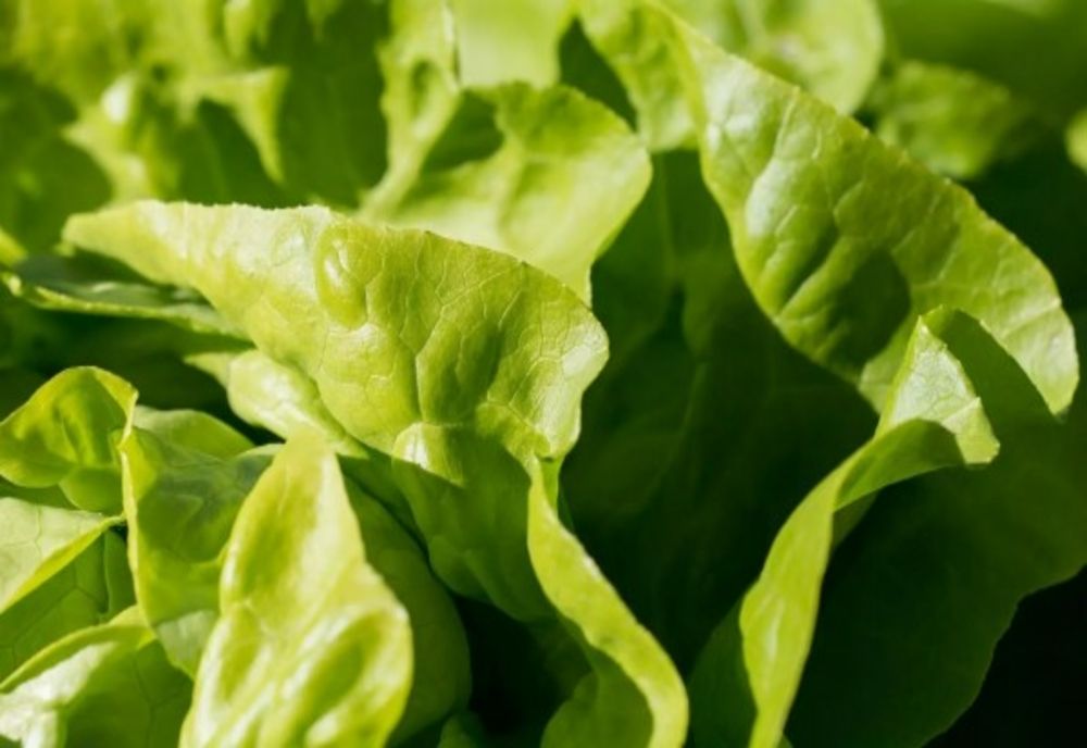 "Verdețurile" pe care trebuie să le incluzi neaparat în alimentația ta în această primăvară
