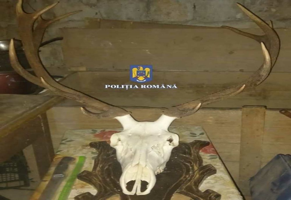Percheziții la domiciliile a doi bărbați din județul Hunedoara, suspectați de braconaj