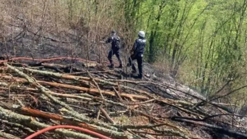 Incendiu masiv de vegetație în județul Hunedoara: 15 hectare de litieră și pășune împădurită, afectate