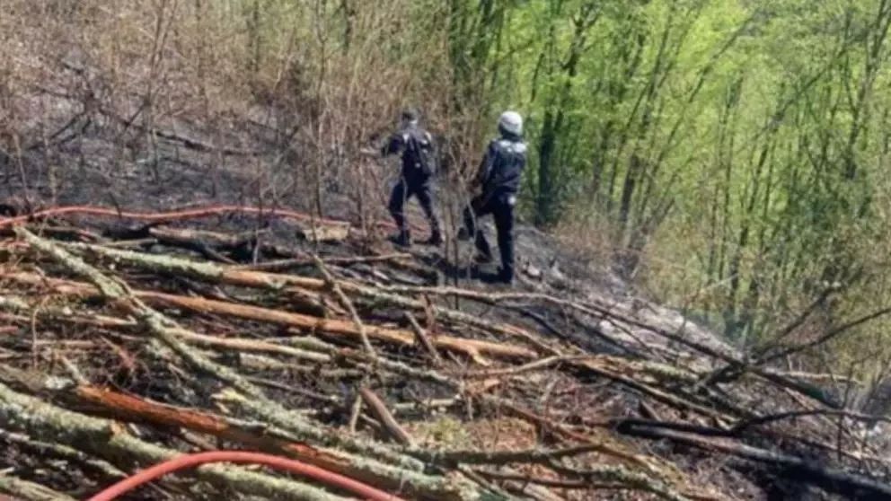 Incendiu masiv de vegetație în județul Hunedoara: 15 hectare de litieră și pășune împădurită, afectate