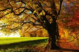 Cum va fi vremea în următoarele patru săptămâni în România. Prognoza ANM până la jumătatea lunii septembrie