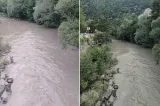 Poluare masivă pe Defileul Jiului
