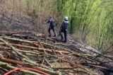 Incendiu masiv de vegetație în județul Hunedoara: 15 hectare de litieră și pășune împădurită, afectate