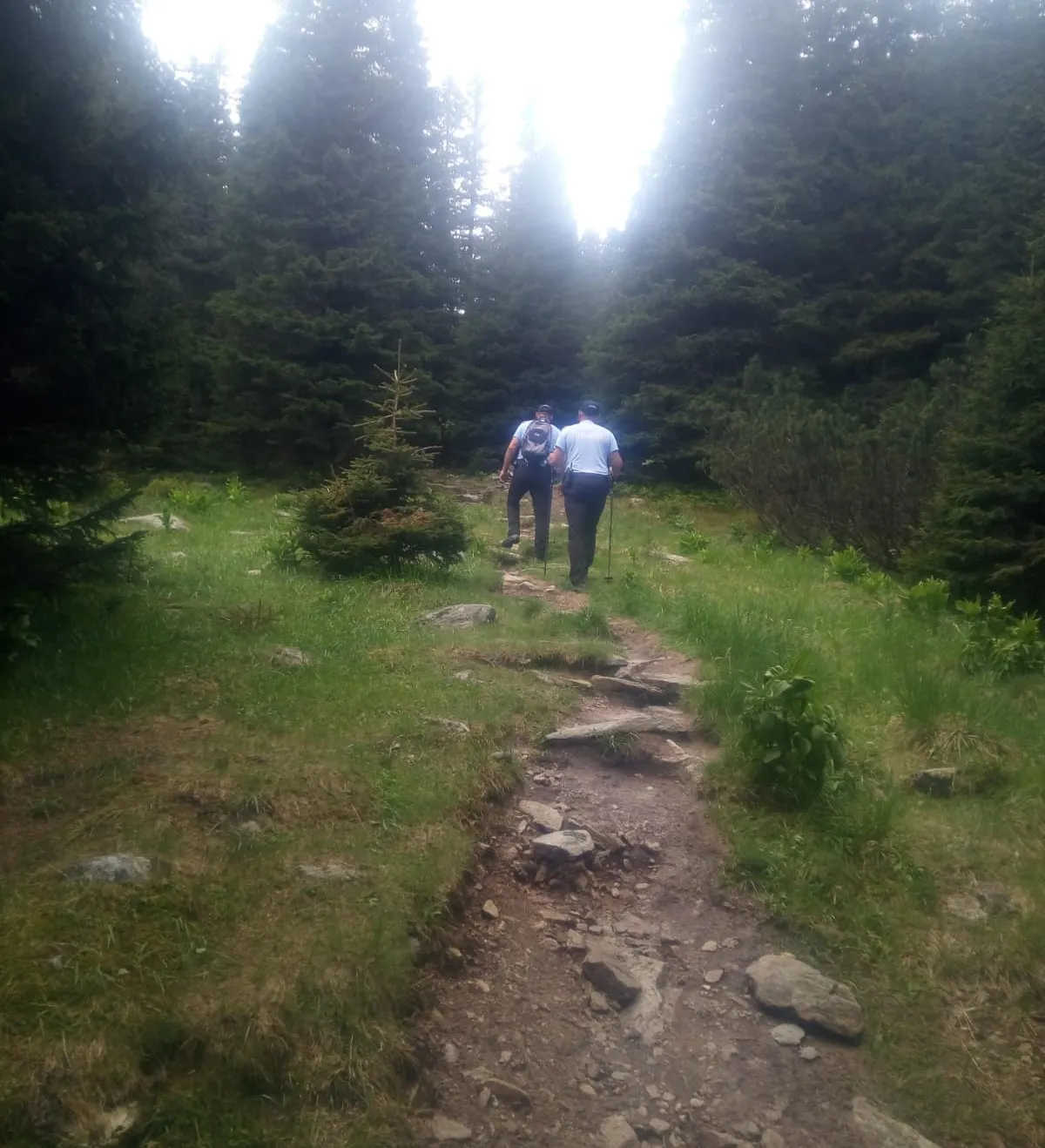 IMG-20180903-WA0000