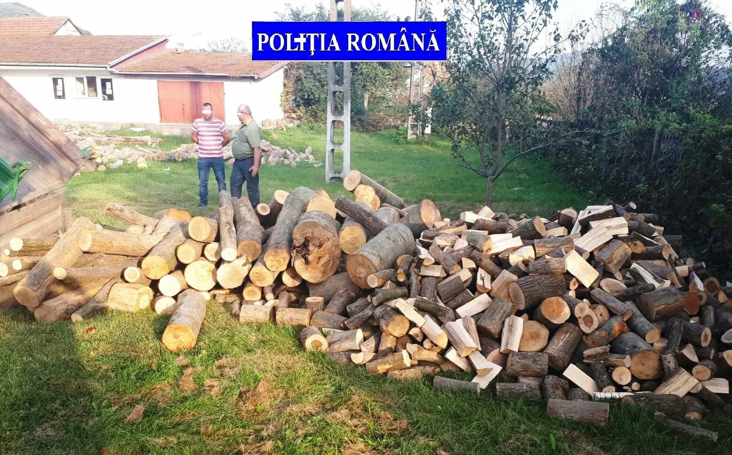 foto lemne