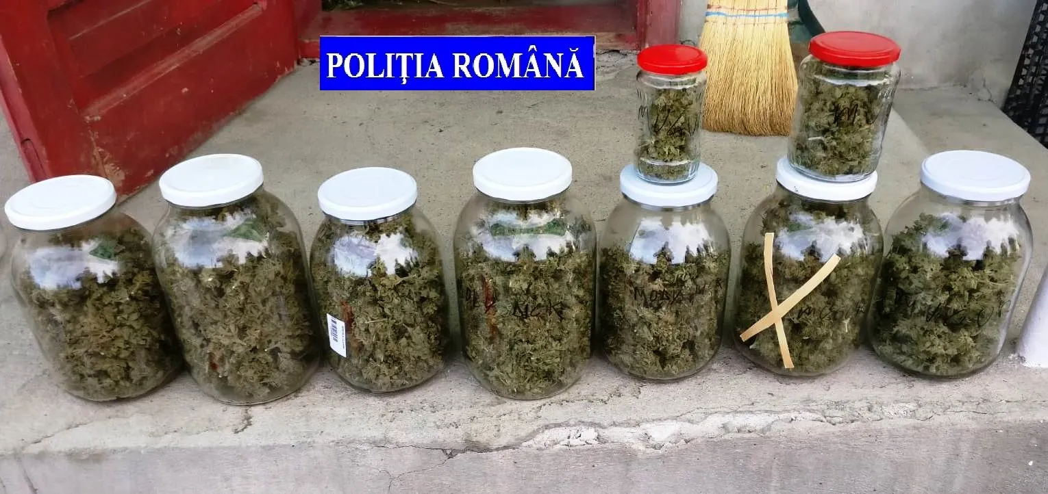 POZA CANABIS