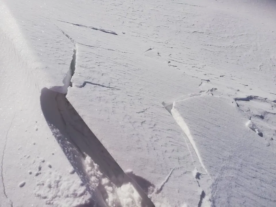 AVALANSA1