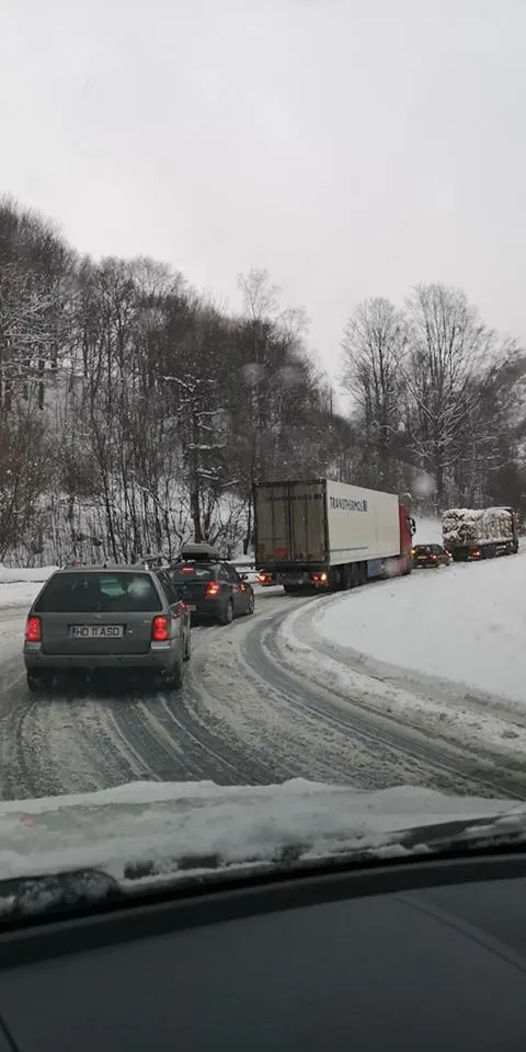 trafic6