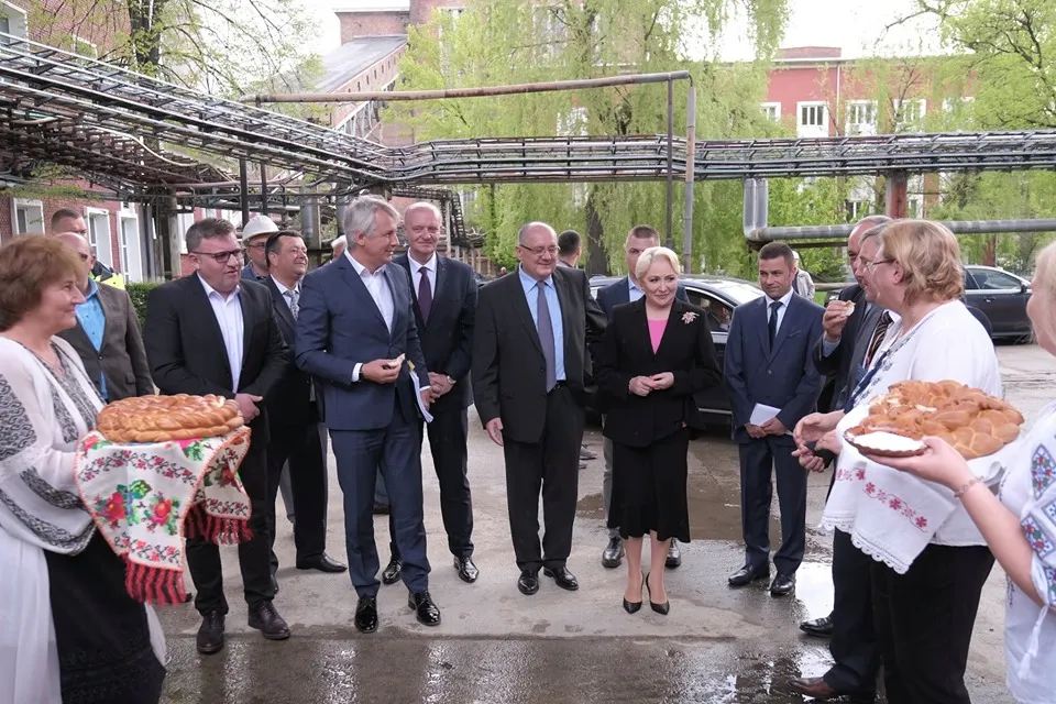 dancila paroseni