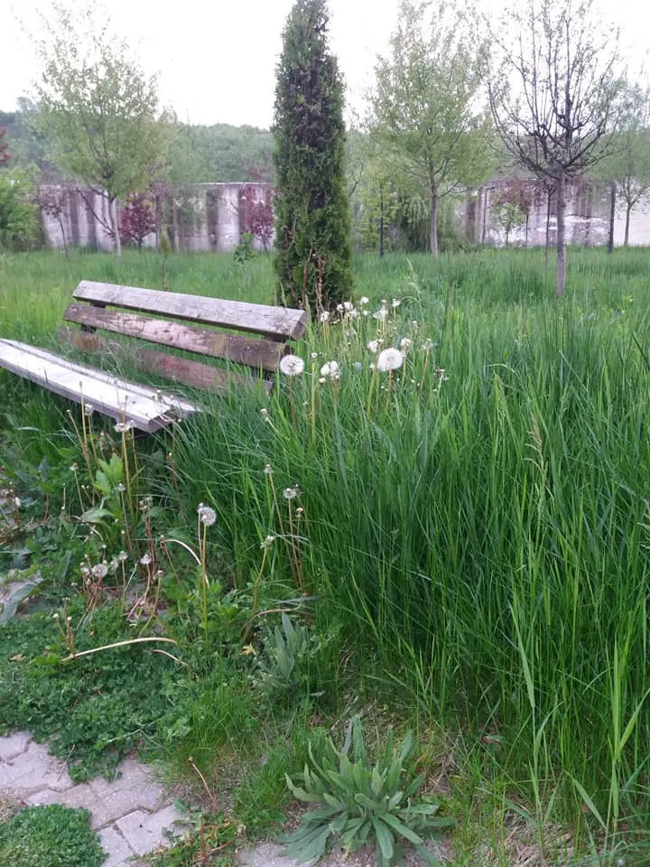parc2