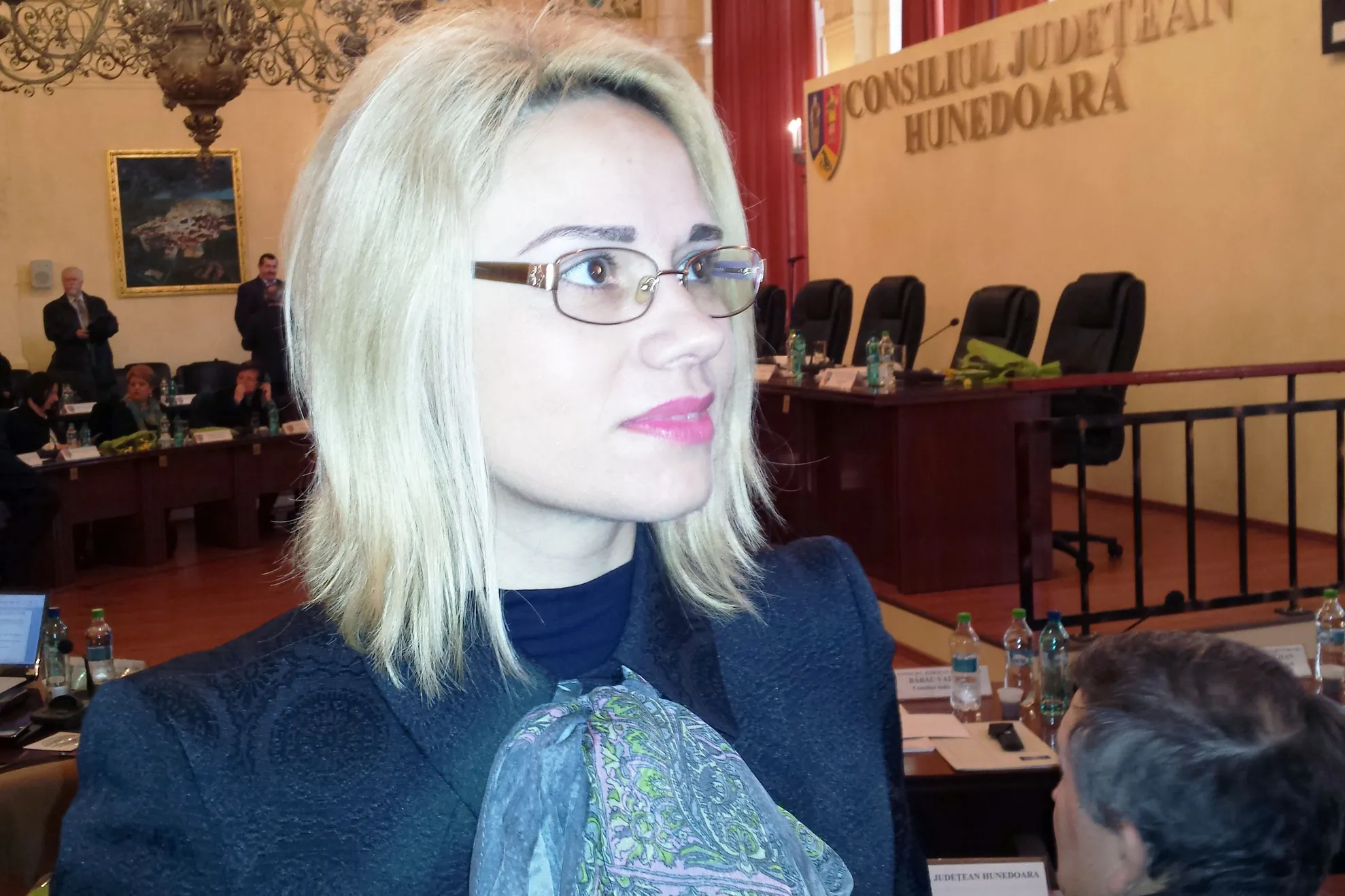 rodica dimulescu director liceu