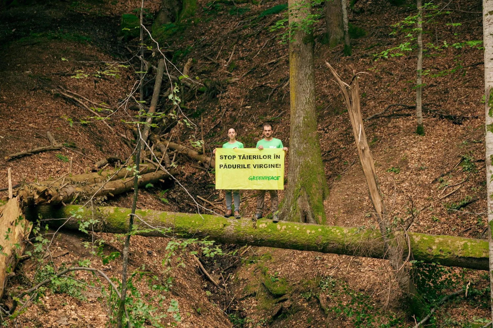 greenpeace1
