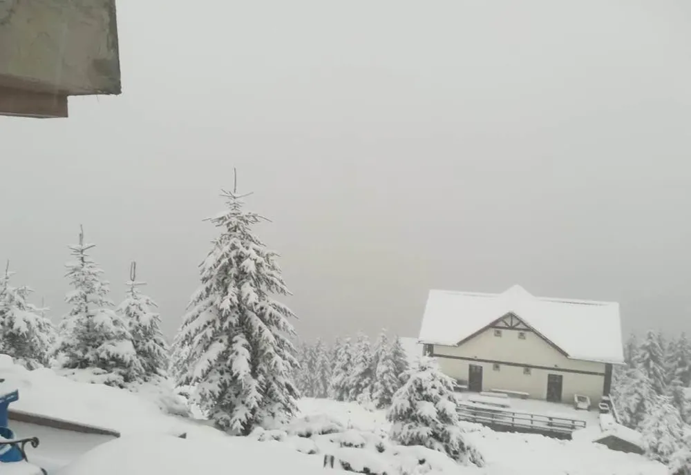 Ninge în zonele de munte din sudul județului Hunedoara
