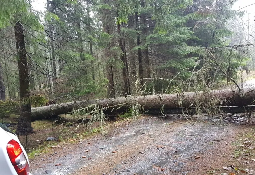 FOTO| Drumul spre Poiana Pelegii din Retezat, blocat. Turiștii care vor să ajungă în parcul național, sfătuiți să aleagă alte trasee