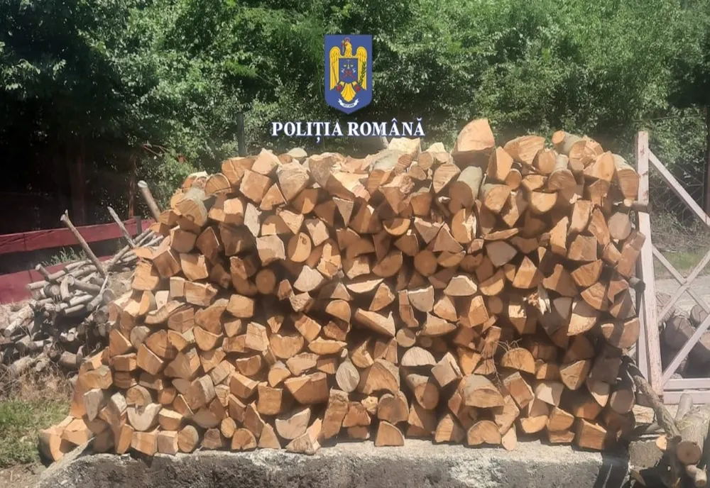 Controale la transportatorii și prelucrătorii de lemne