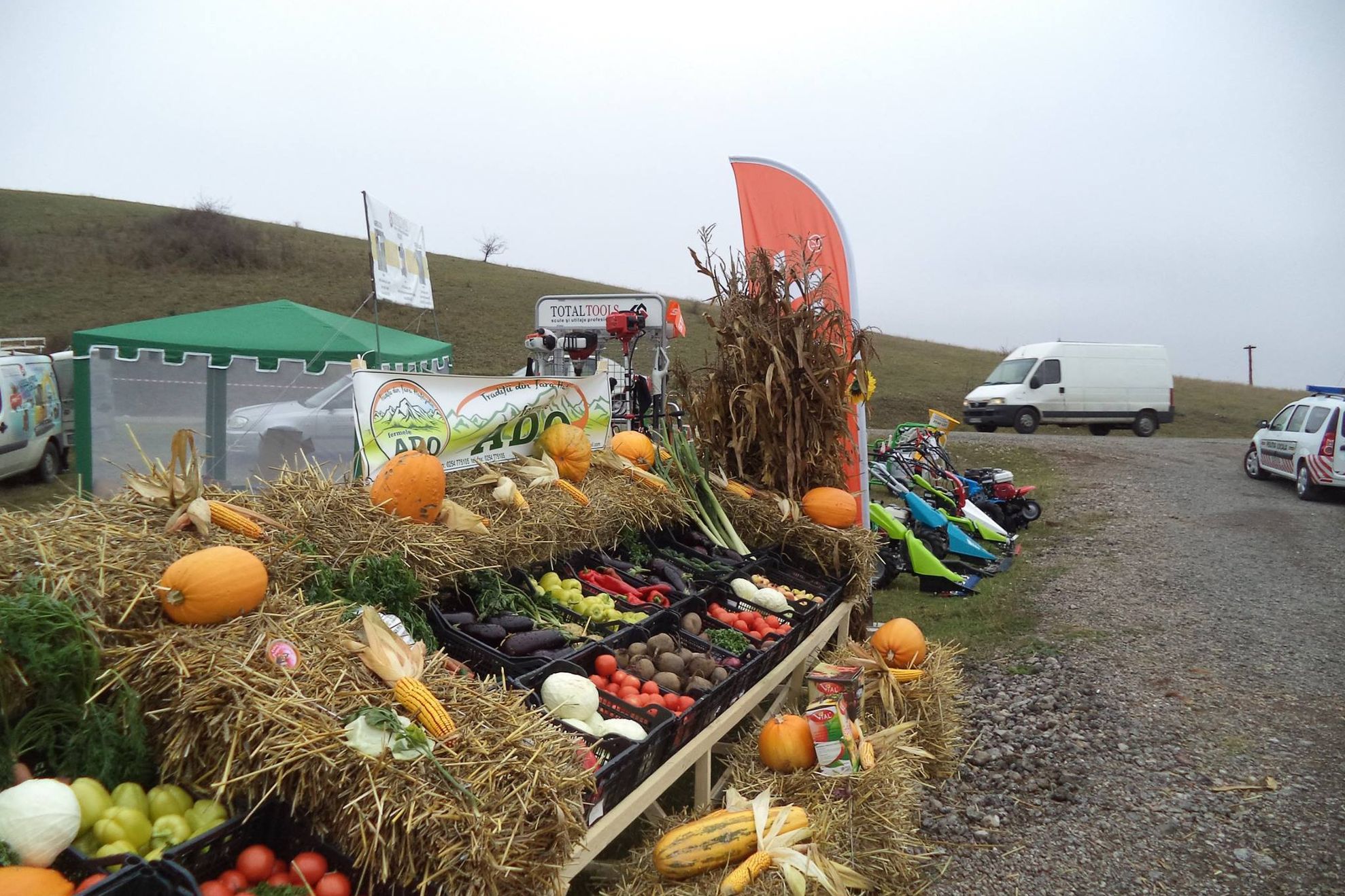 1275931_953251561355456_3720841436036428783_o