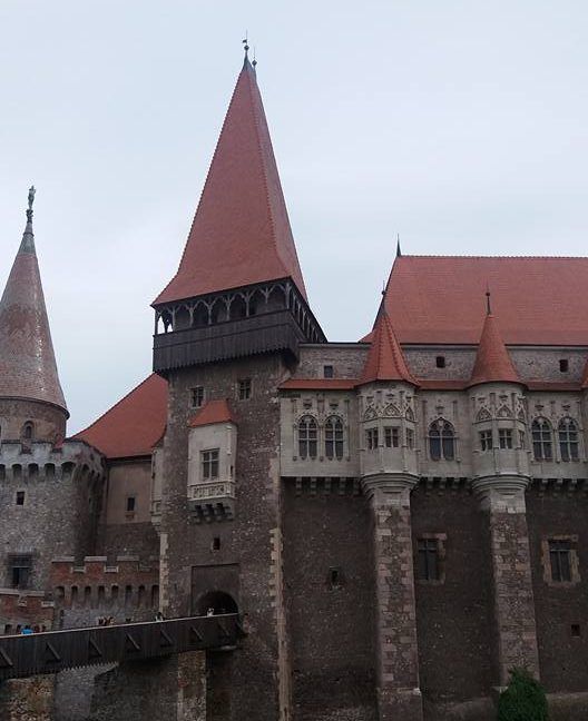 30704916_589534904744600_5205498566934746091_n