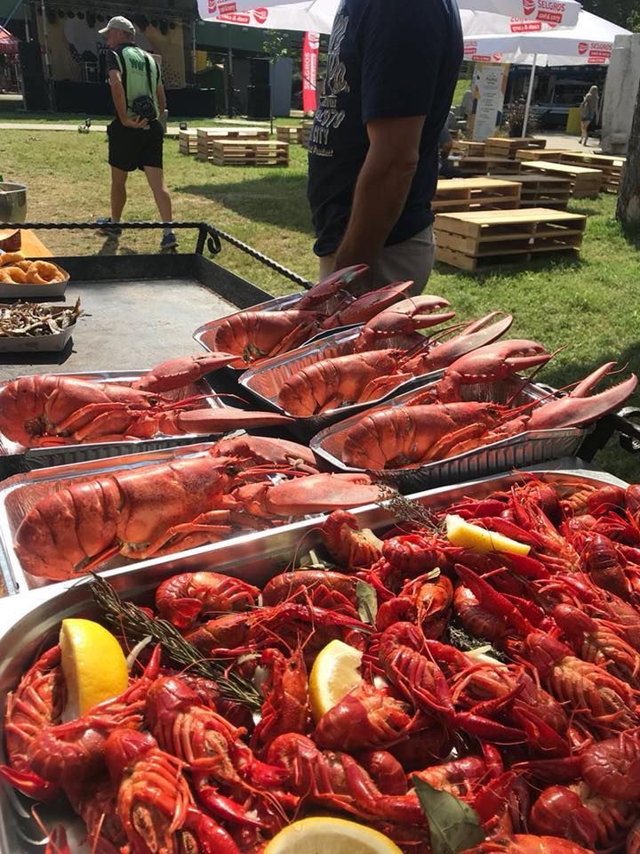 40820295_1776303229073059_470715277336641536_n