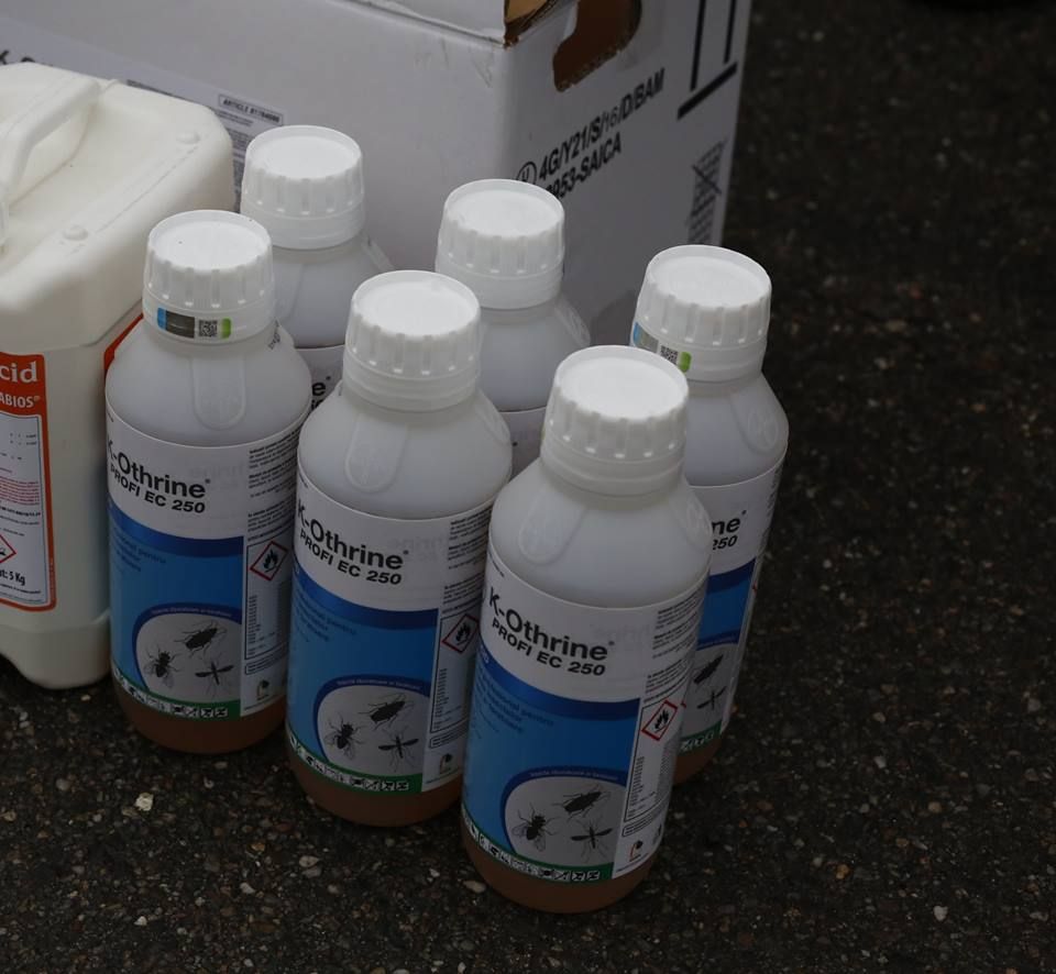 42507151_1834640609987348_2777987016011284480_n