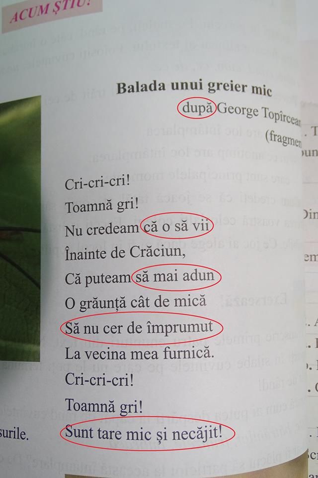 44064463_1932712473474511_4400196043451400192_n