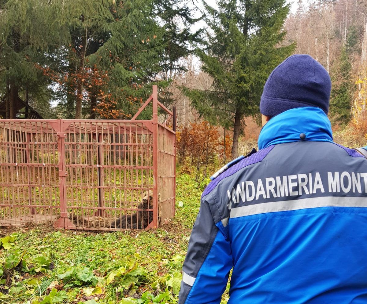 WhatsApp Image 2018-10-23 at 5.34.21 PM