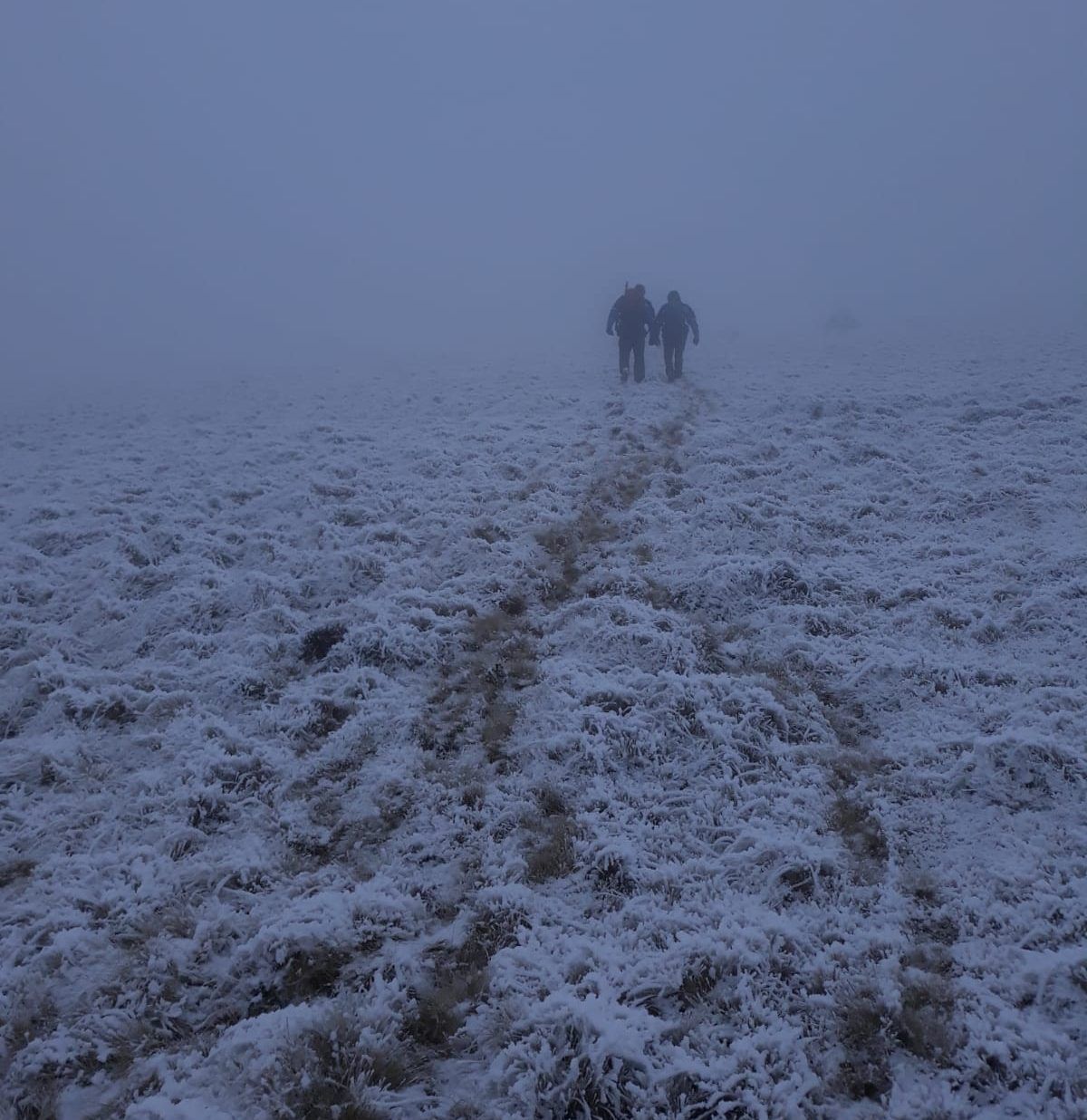 WhatsApp Image 2018-11-18 at 12.57.50 PM