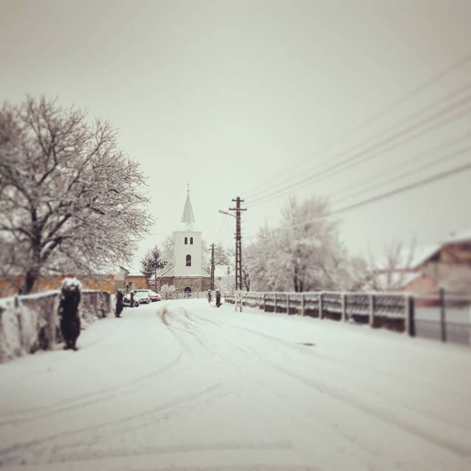 48226611_2137094182975806_7341362228680982528_n