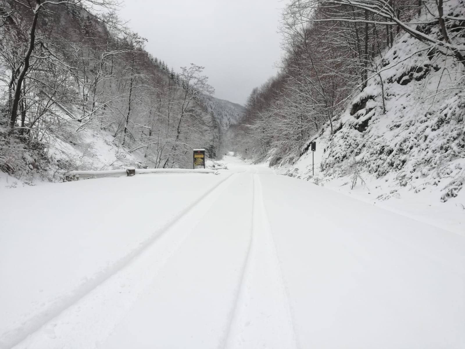 48358636_2076573889321604_5718292412485337088_o