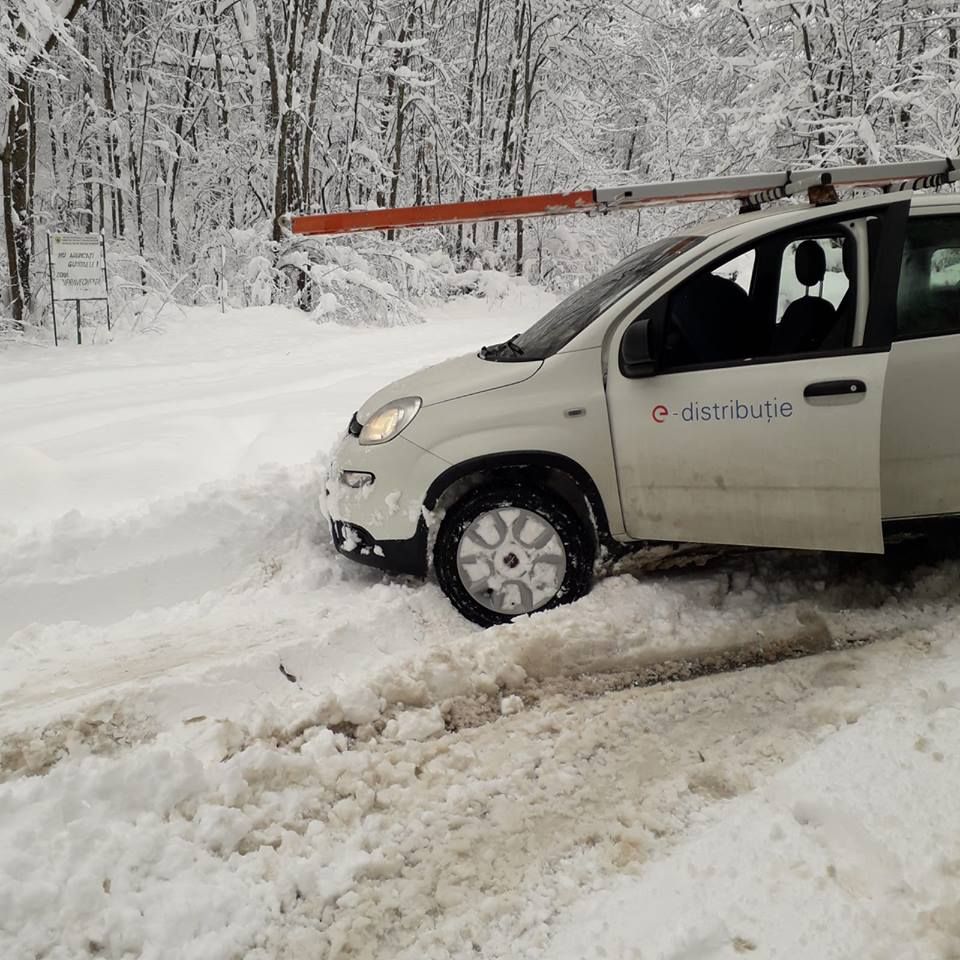 48364026_800115646995264_7782585554733891584_n