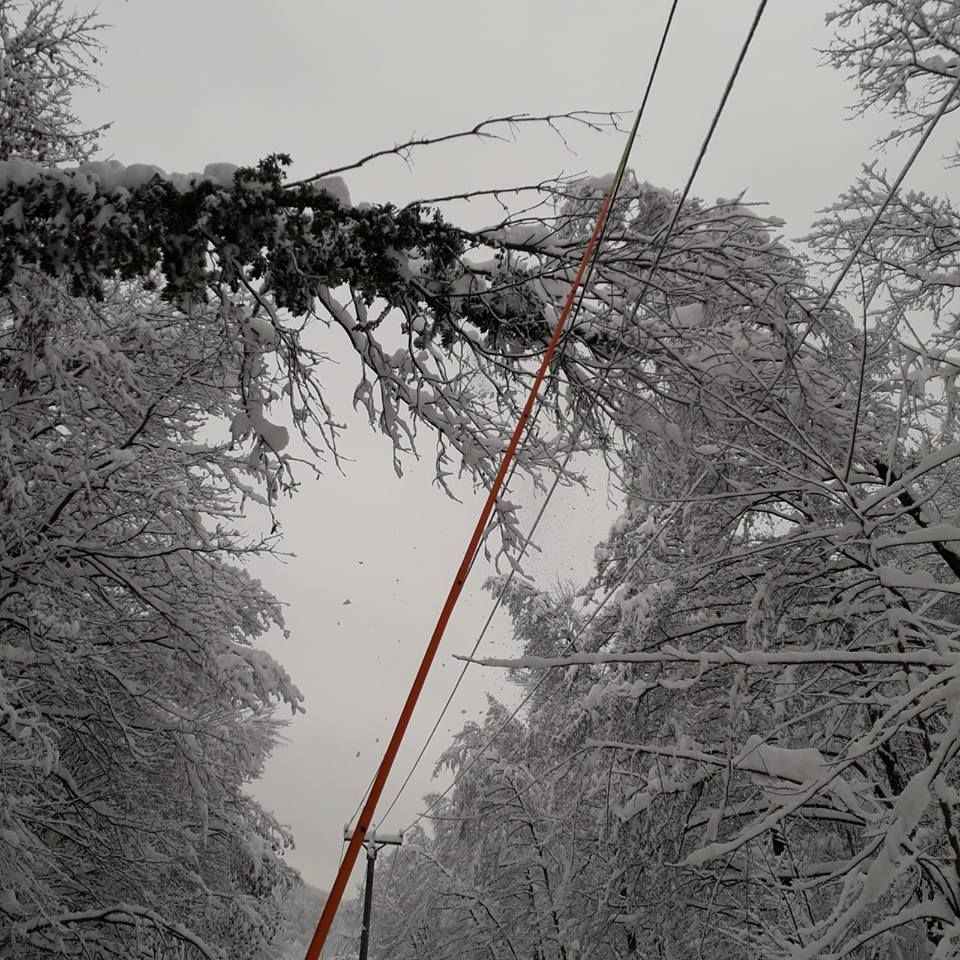 48368142_800044210335741_8163719148694667264_n