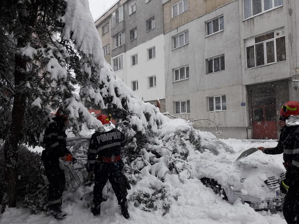 48374492_761200050909795_9169189963558813696_n