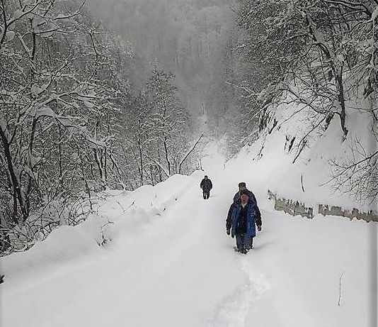 48417784_10217935187513644_5419216419277504512_n