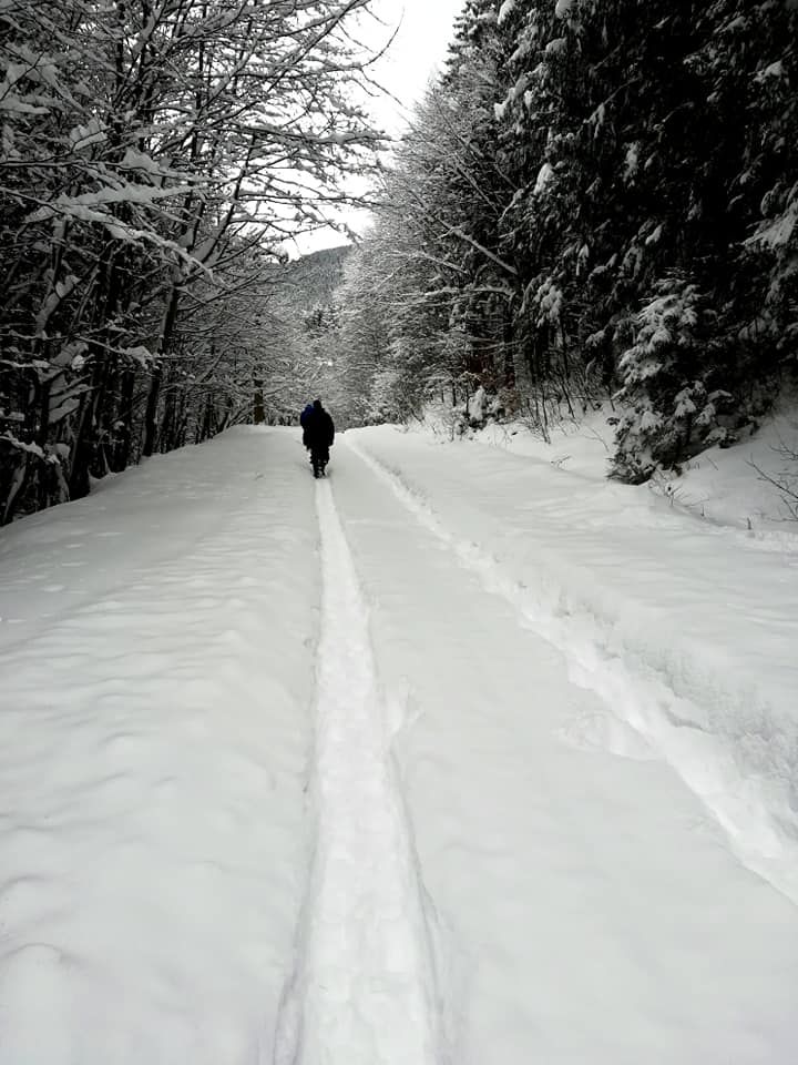 traseu carnic - pietrele