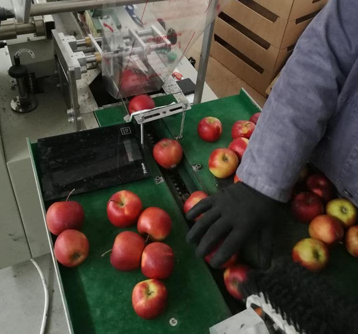 52838810_2224503154280048_3754850350796898304_n