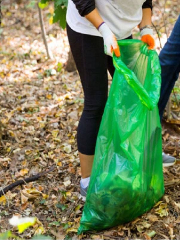 52837031_2269429633379814_8214142378282319872_n