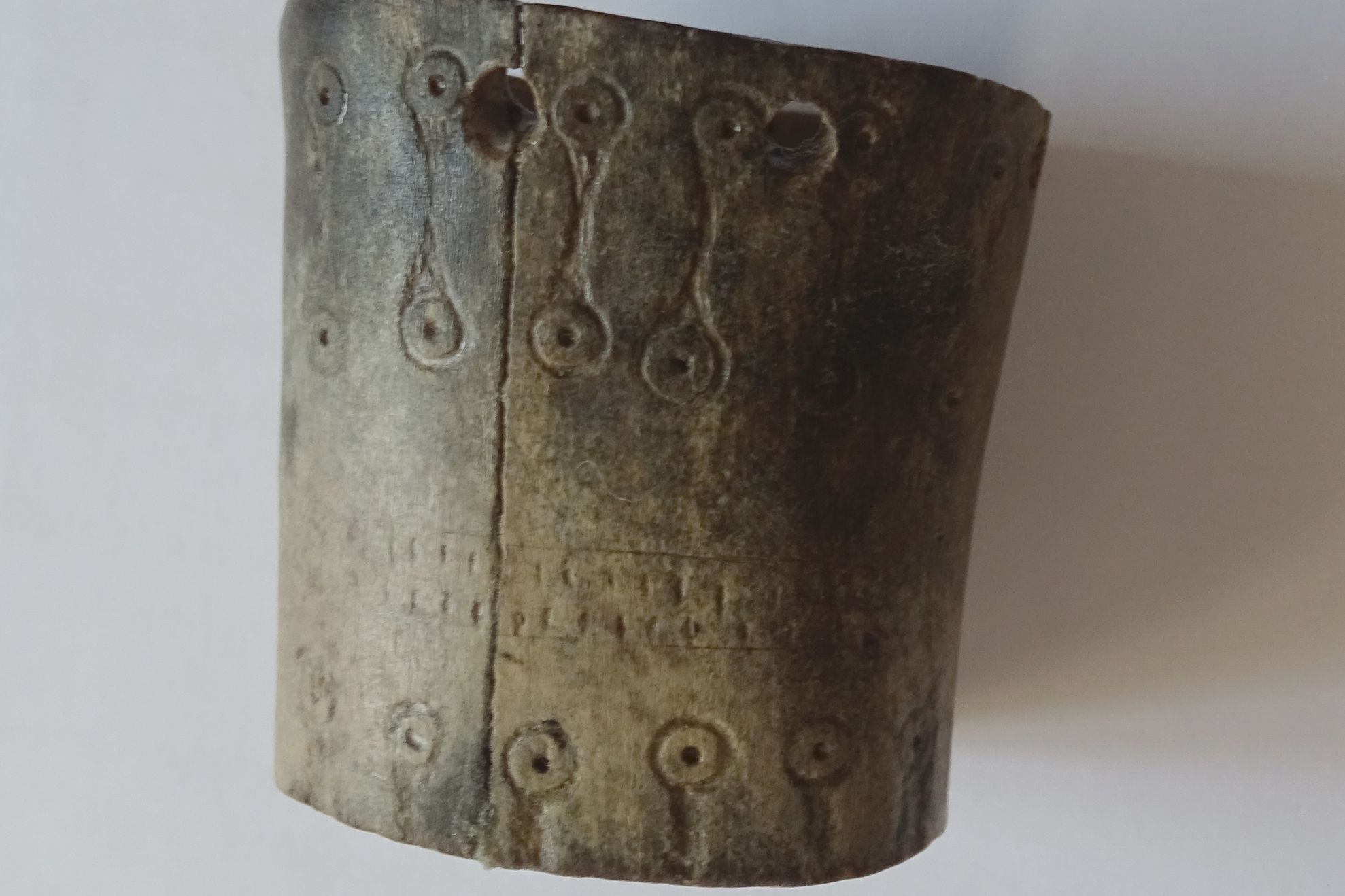 foto1 exponatul lunii martie