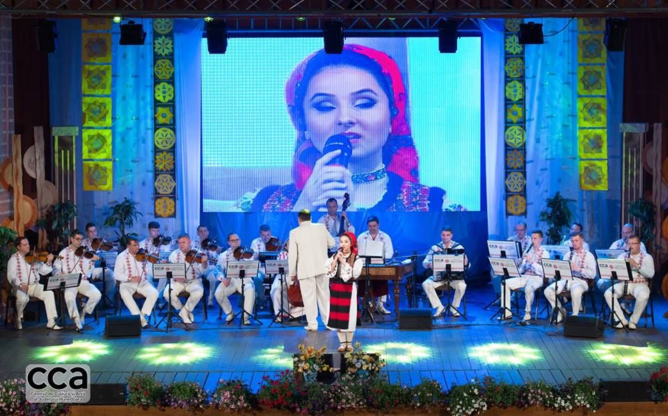 56229329_2164333556988501_678686050599567360_n