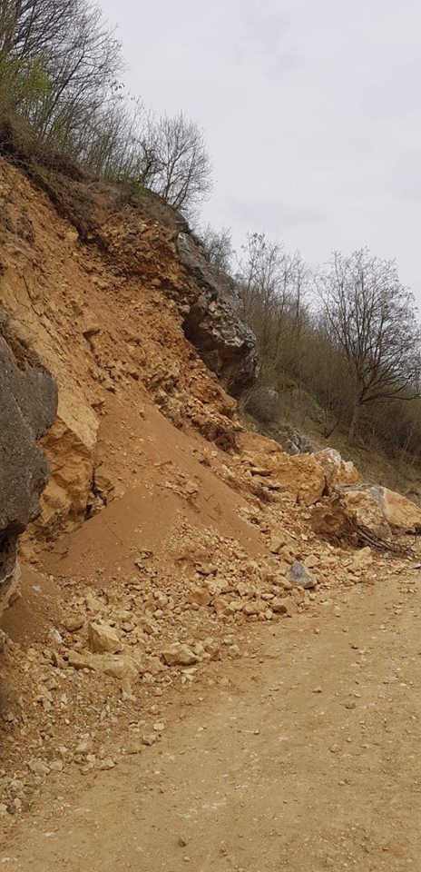 56560635_2172176682870855_2713014593298366464_n