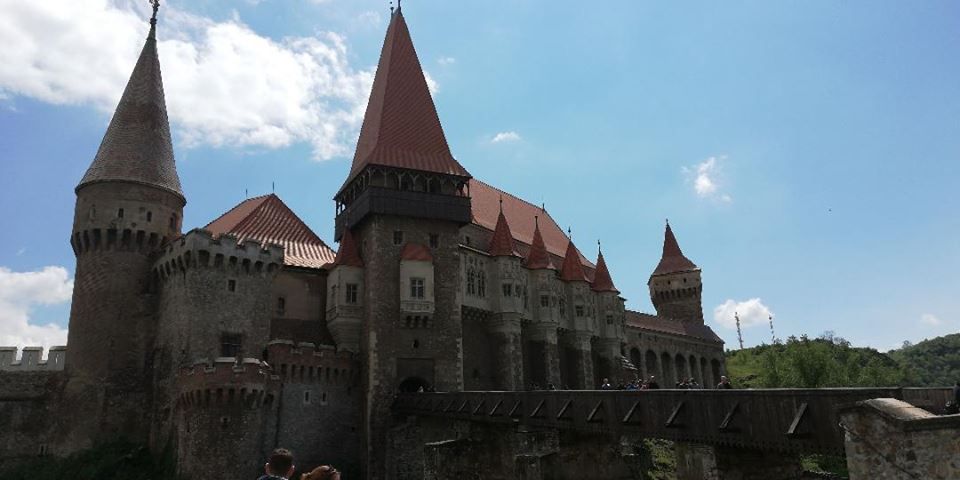 58430250_2137144466362240_1271753757809442816_n