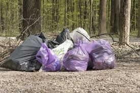 Pădurea din zona de agrement Căprioara, ecologizată de „Ziua Pământului”