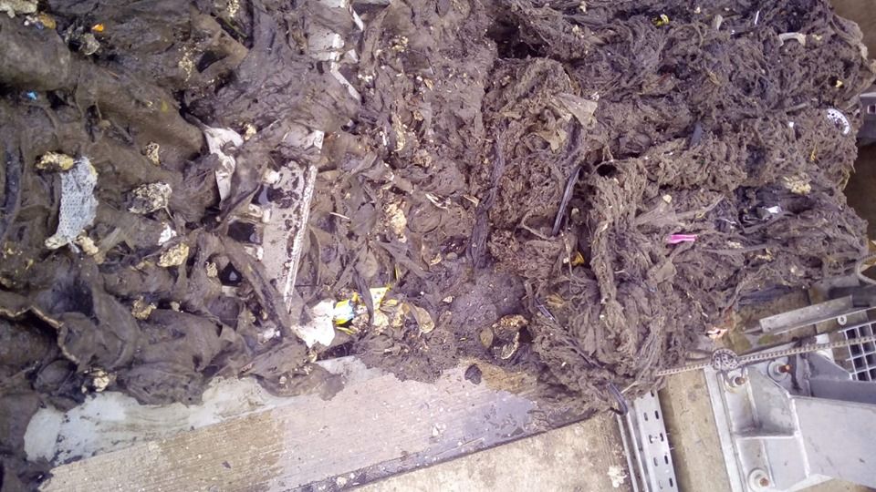 59538153_1070267683156511_3568437255343177728_n