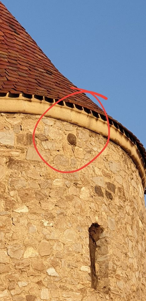 64787740_1096997520493457_3160203422766989312_n