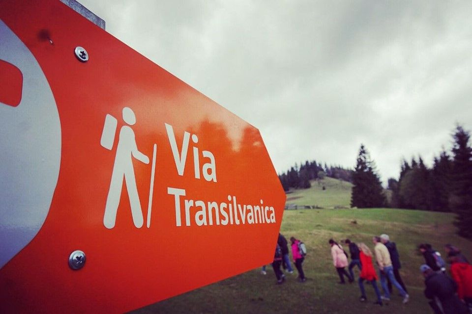 transvalcanica