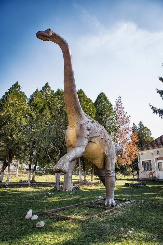 23380104_775977385939942_1632397860741427567_n