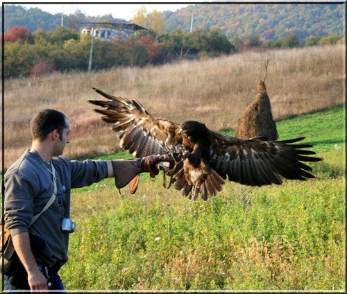 312631_157884977624795_8339082_n