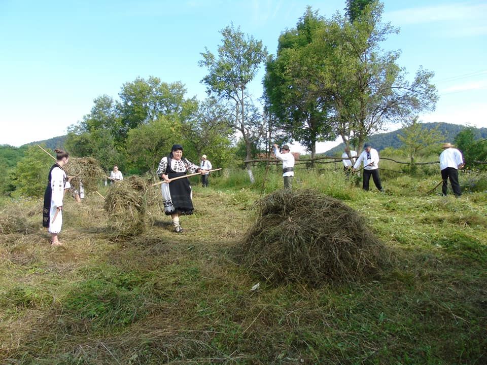 66474114_365687750797908_1600572292167892992_n