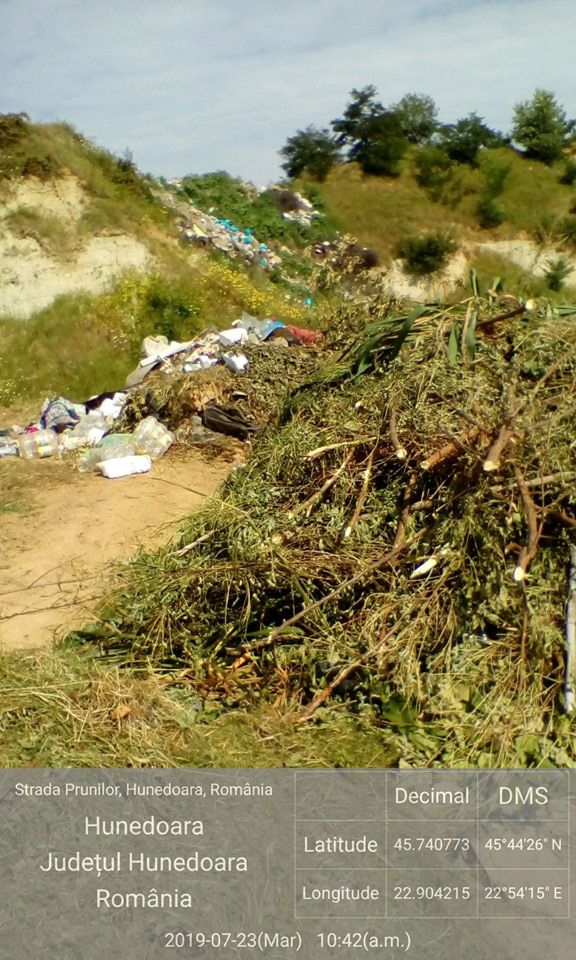 66828988_2346039869046386_7156729551790276608_n